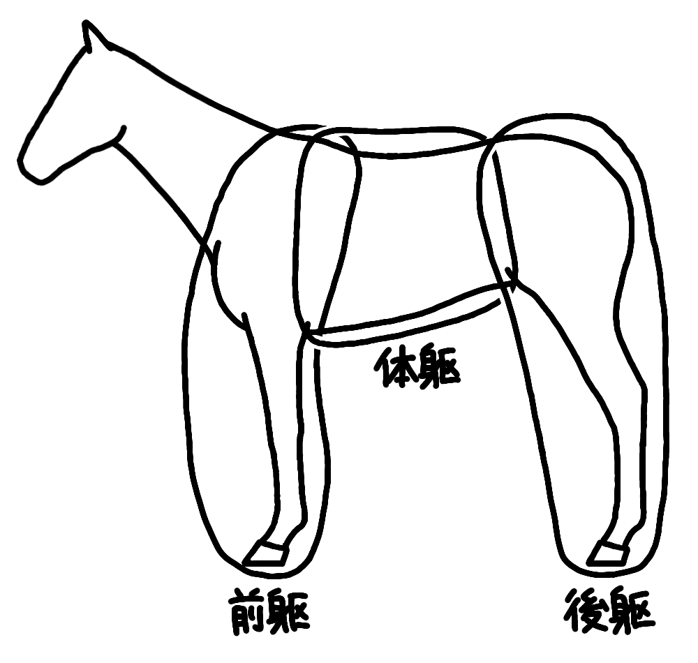 馬体の名称2